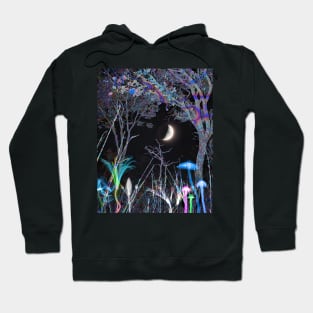 Nuit Hoodie